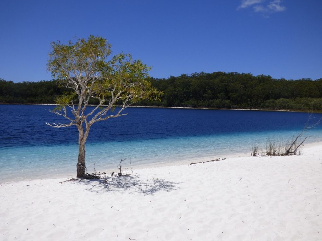 tourameo-reiseplanung-individualreise-australien-rundreise-fraser-island-strand