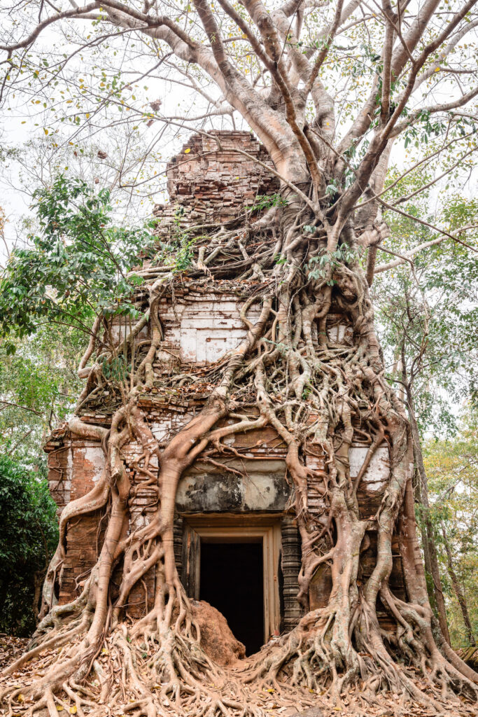 kambodscha-tipps-fuer-eine-rundreise-ins-land-der-tempel